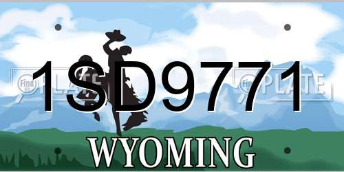 1SD9771 Wyoming License Plate