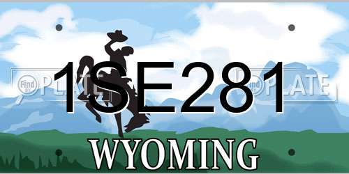 1SE281 Wyoming License Plate
