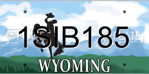 1SIB185 Wyoming License Plate