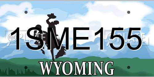1SME155 Wyoming License Plate