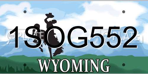 1SOG552 Wyoming License Plate