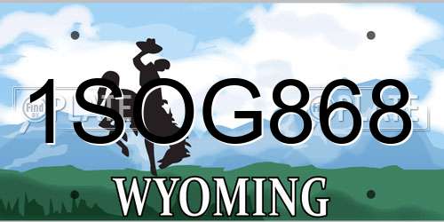 1SOG868 Wyoming License Plate