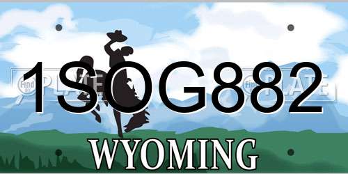 1SOG882 Wyoming License Plate
