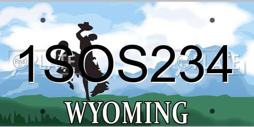 1SOS234 Wyoming License Plate