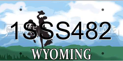 1SSS482 Wyoming License Plate