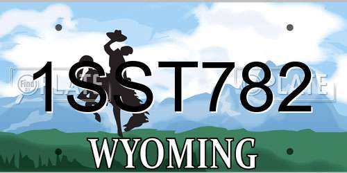 1SST782 Wyoming License Plate