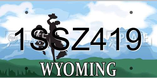 1SSZ419 Wyoming License Plate