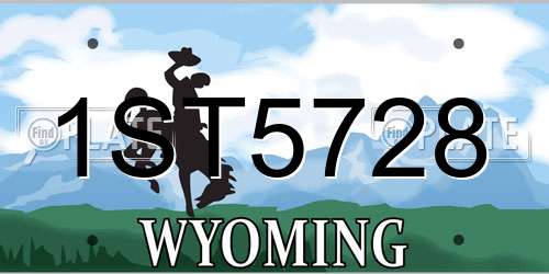 1ST5728 Wyoming License Plate