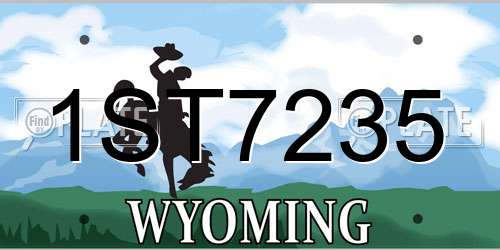 1ST7235 Wyoming License Plate
