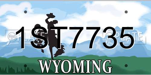 1ST7735 Wyoming License Plate