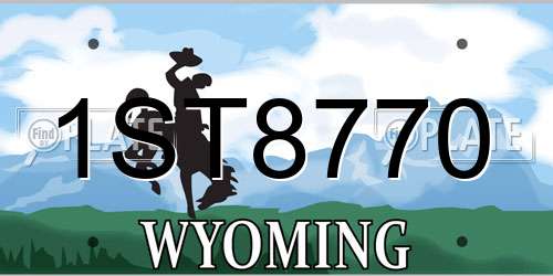 1ST8770 Wyoming License Plate