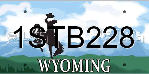 1STB228 Wyoming License Plate