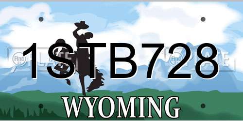 1STB728 Wyoming License Plate
