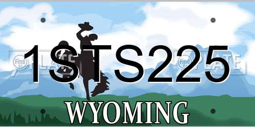 1STS225 Wyoming License Plate