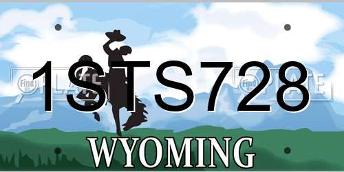 1STS728 Wyoming License Plate