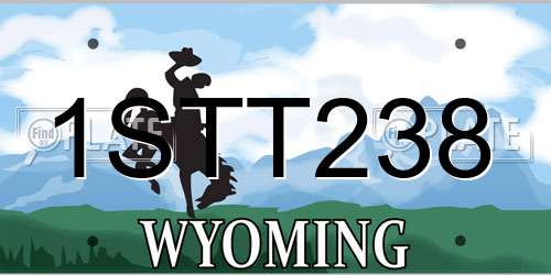 1STT238 Wyoming License Plate