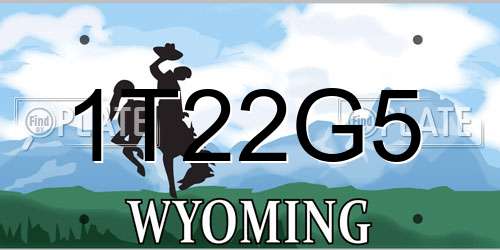 1T22G5 Wyoming License Plate