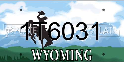 1T6031 Wyoming License Plate