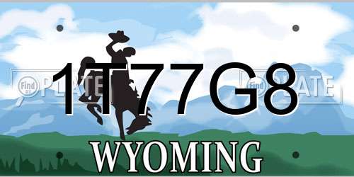 1T77G8 Wyoming License Plate