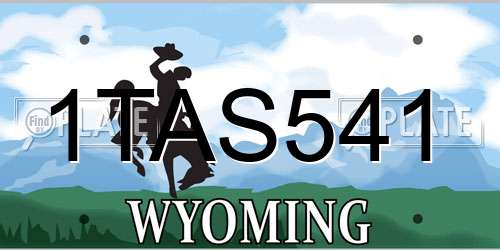 1TAS541 Wyoming License Plate