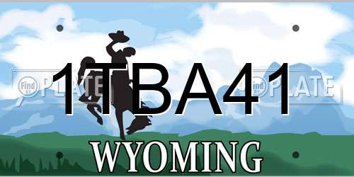 1TBA41 Wyoming License Plate