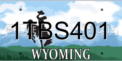 1TBS401 Wyoming License Plate