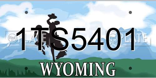1TS5401 Wyoming License Plate