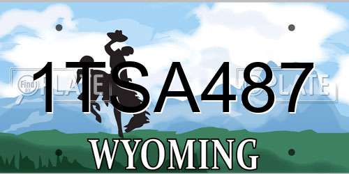 1TSA487 Wyoming License Plate