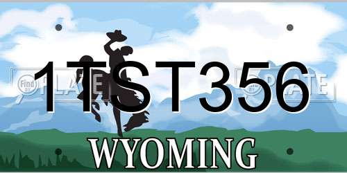 1TST356 Wyoming License Plate