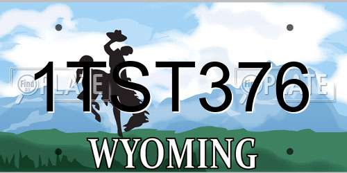 1TST376 Wyoming License Plate