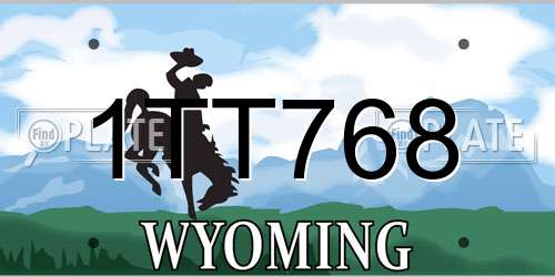 1TT768 Wyoming License Plate