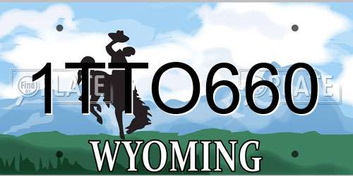 1TTO660 Wyoming License Plate