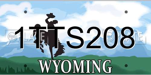 1TTS208 Wyoming License Plate