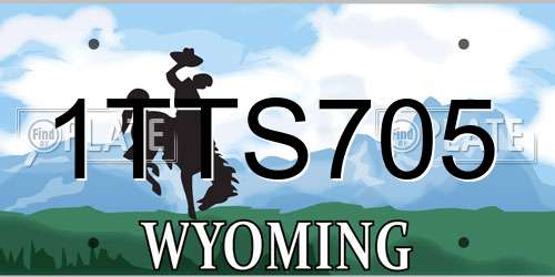 1TTS705 Wyoming License Plate