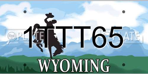 1TTT65 Wyoming License Plate