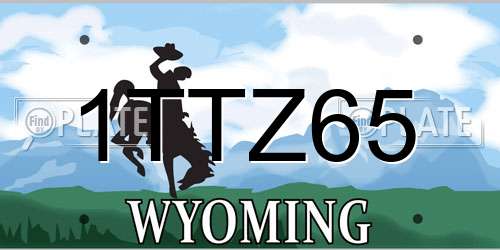 1TTZ65 Wyoming License Plate