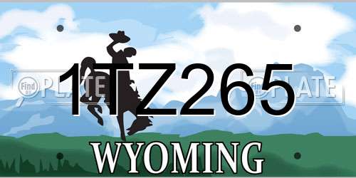 1TZ265 Wyoming License Plate