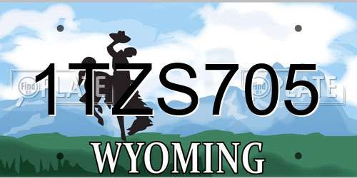 1TZS705 Wyoming License Plate