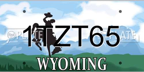1TZT65 Wyoming License Plate