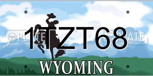1TZT68 Wyoming License Plate