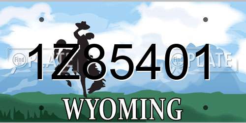 1Z85401 Wyoming License Plate