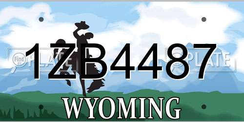 1ZB4487 Wyoming License Plate