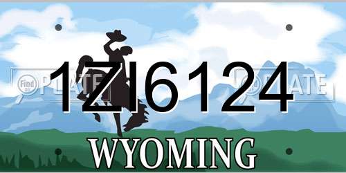 1ZI6124 Wyoming License Plate
