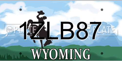 1ZLB87 Wyoming License Plate