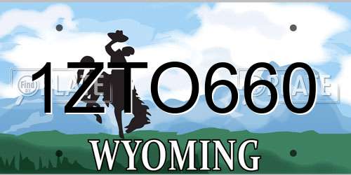 1ZTO660 Wyoming License Plate