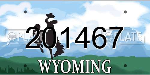 201467 Wyoming License Plate