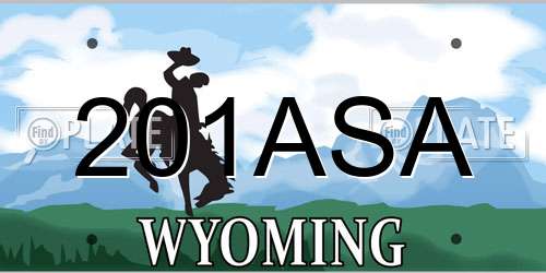 201ASA Wyoming License Plate