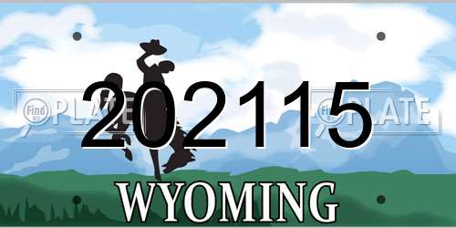 202115 Wyoming License Plate
