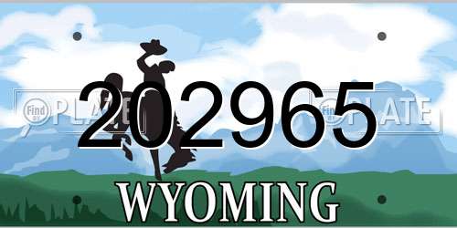 202965 Wyoming License Plate