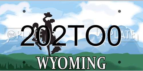 202TO0 Wyoming License Plate